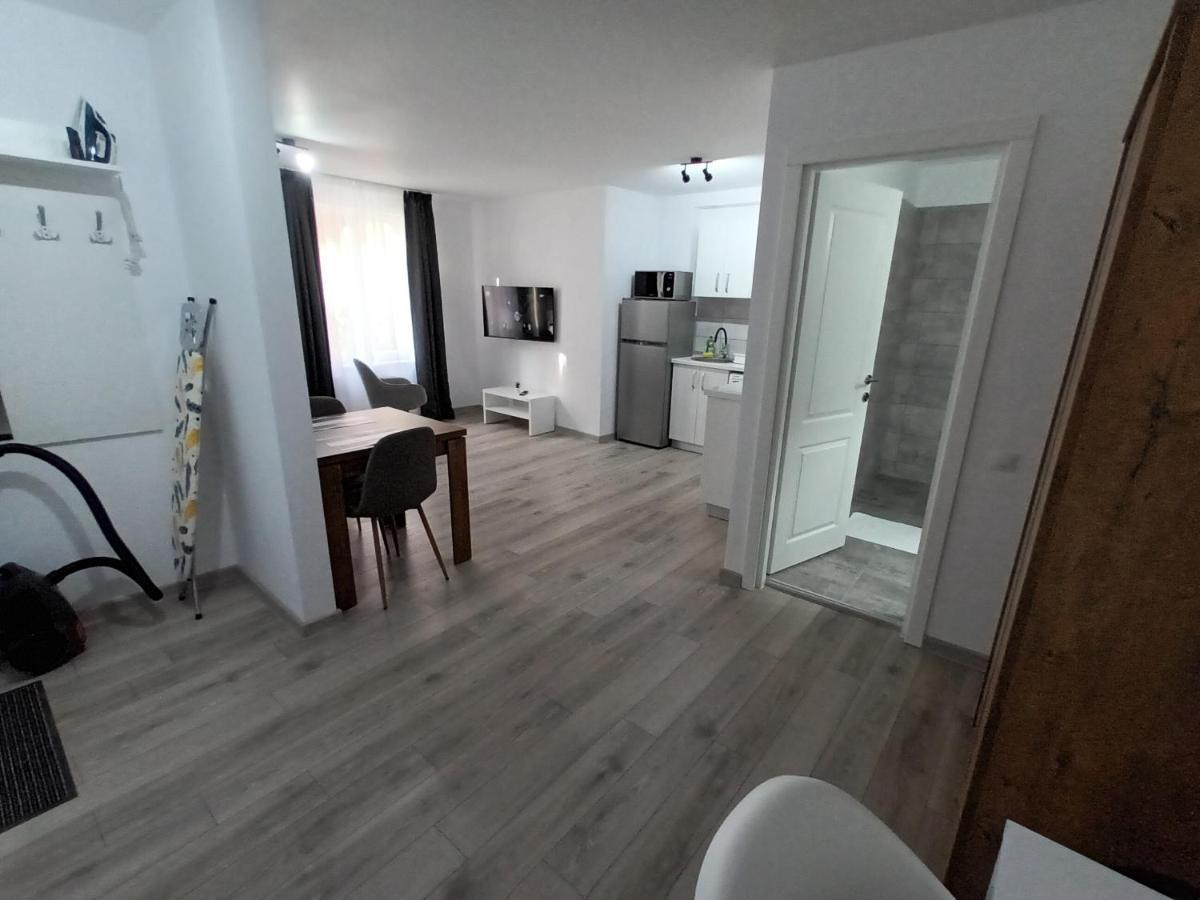 Old Town Studio Apartments Baia Mare Exteriér fotografie