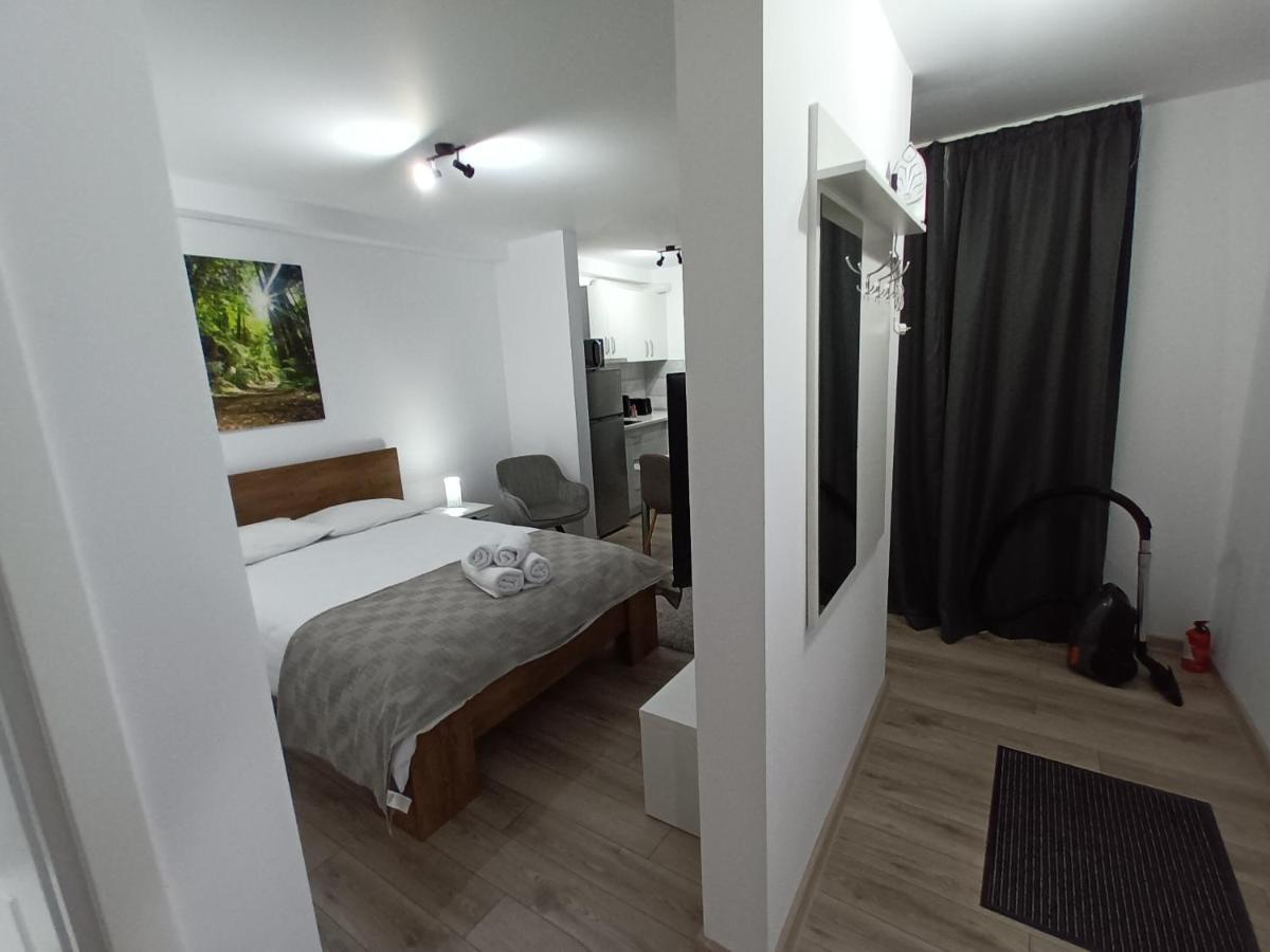 Old Town Studio Apartments Baia Mare Exteriér fotografie